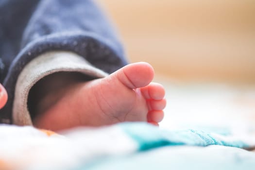 Close up of newborn baby feet on baby blanket