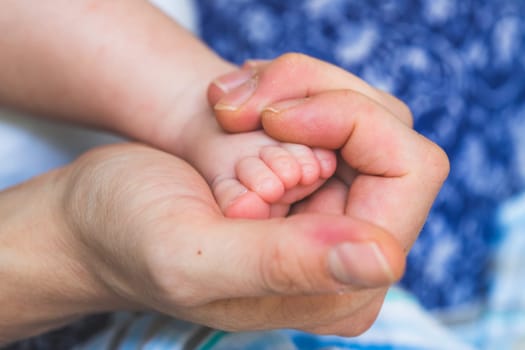 Close up of mother’s hands, holding newborn baby feet.
