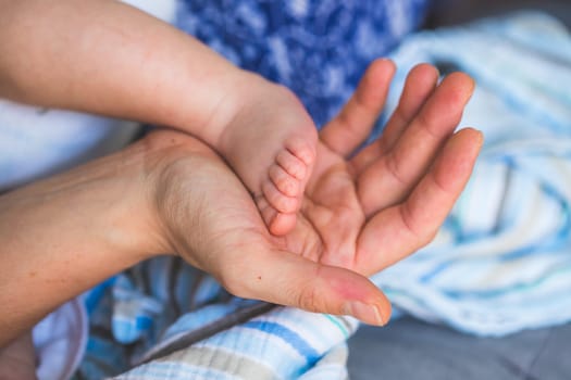 Close up of mother’s hands, holding newborn baby feet.