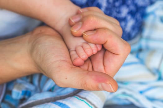 Close up of mother’s hands, holding newborn baby feet.