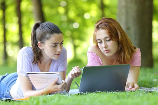 Two students e-learning comparing notes online in a park
