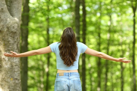 Woman outstretching arms in a forest