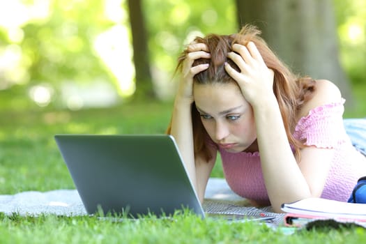 Frustrated student e-learning in a park