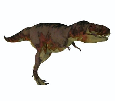 Daspletosaurus was a carnivorous theropod dinosaur that lived in North America during the Cretaceous Period.