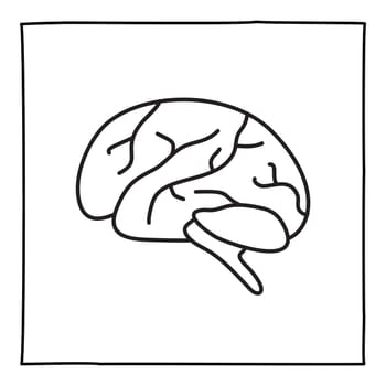 Doodle brain icon or logo, hand drawn with thin black line. Isolated on white background. Vector illustration