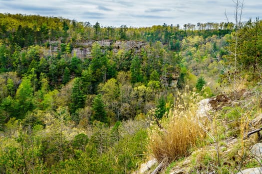 Scenic view of Red River Gorge formations in Kentucky in spring