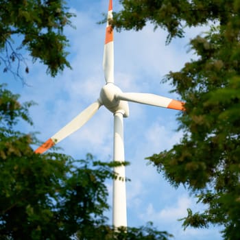 Rotor blades of wind turbine seen through gap between trees
