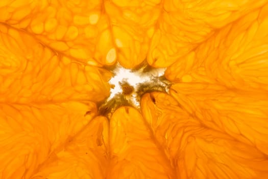 Extreme close-up orange slice pattern
