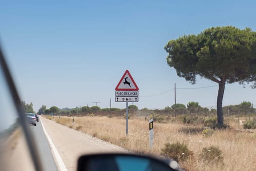 Metal pole with traffic signal warning iberian lynx crossing. Road–kills are considered a chief cause of death in the Iberian lynx