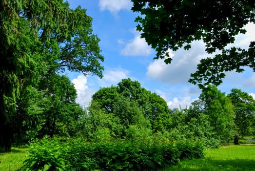 Beautiful well-groomed park, trimmed lawn. reserve HMELITA