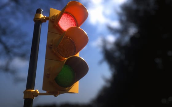 Outdoor vertical traffic light with blue sky and trees around. Traffic control concept image with shallow depth of field.