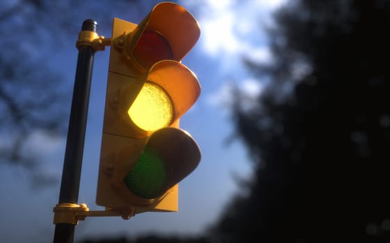 Outdoor vertical traffic light with blue sky and trees around. Traffic control concept image with shallow depth of field.