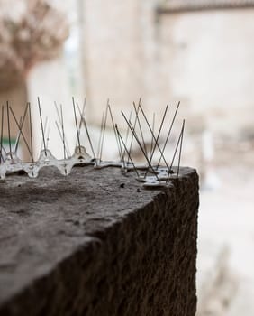 Repellent metal spikes installed over cornice of historic building. Bird Control concept for Architectural Heritage