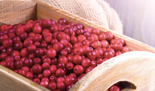 The fresh cranberry in a wooden box on rustic table