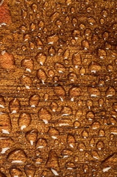 Water drops on wood texture background