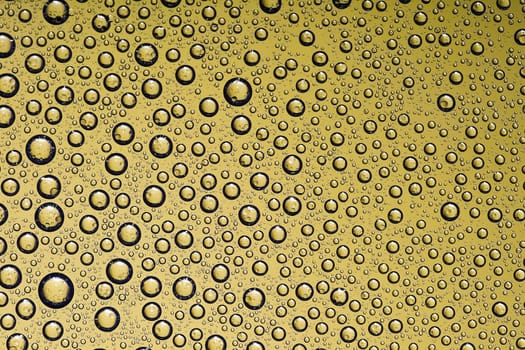 Water drops on glass window