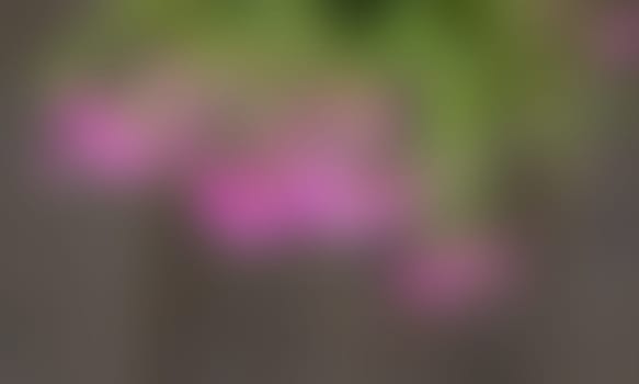 a blurred blur background texture color
