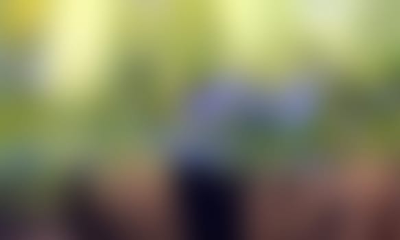 a blurred blur background texture color