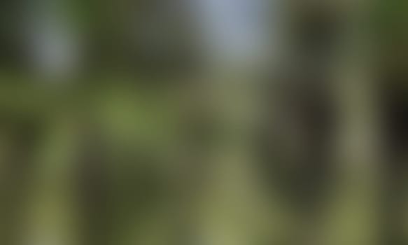a blurred blur background texture color