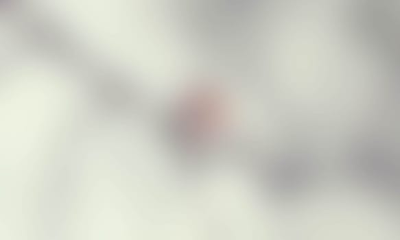 a blurred blur background texture color