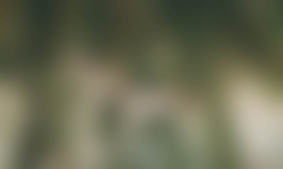 a blurred blur background texture color