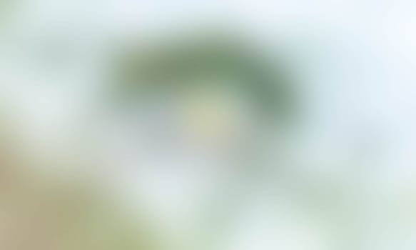 a blurred blur background texture color