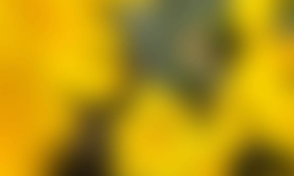 a blurred blur background texture color