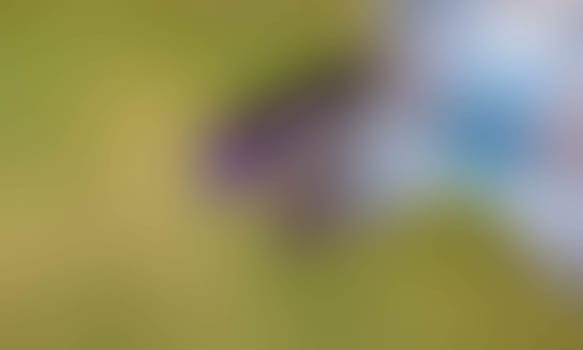 a blurred blur background texture color
