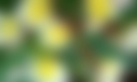 a blurred blur background texture color