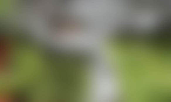a blurred blur background texture color