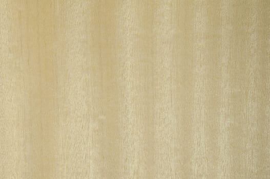 a wood rustic exclusive texture