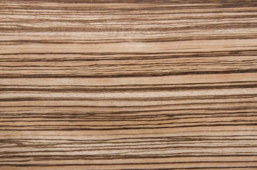 a wood rustic exclusive texture