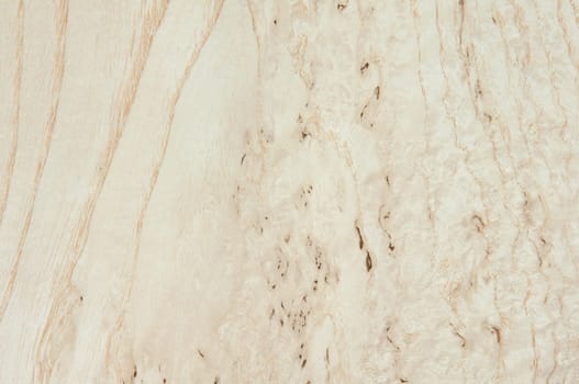 a wood rustic exclusive texture