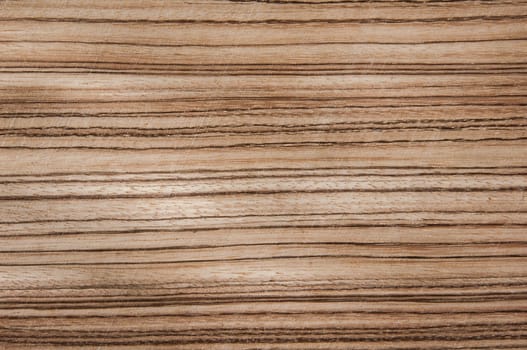a wood rustic exclusive texture