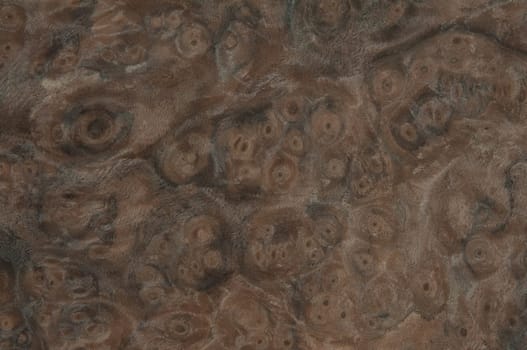 a wood rustic exclusive texture