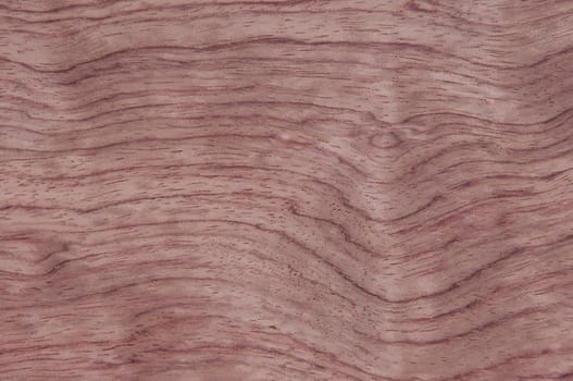a wood rustic exclusive texture
