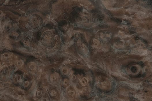 a wood rustic exclusive texture