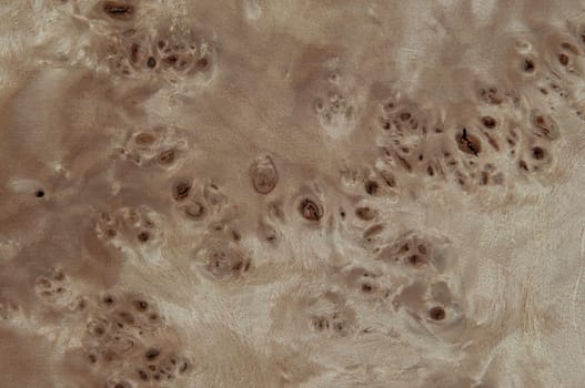 a wood rustic exclusive texture