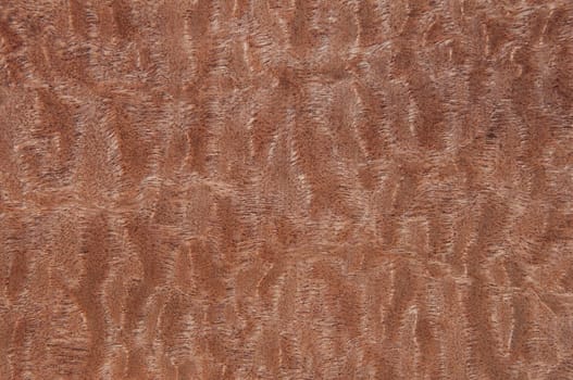 a wood rustic exclusive texture