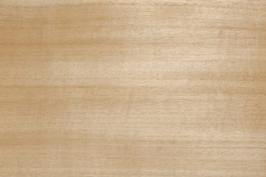 a wood rustic exclusive texture