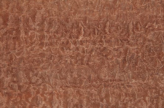 a wood rustic exclusive texture
