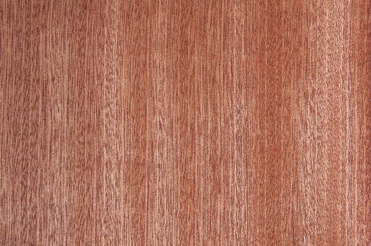a wood rustic exclusive texture