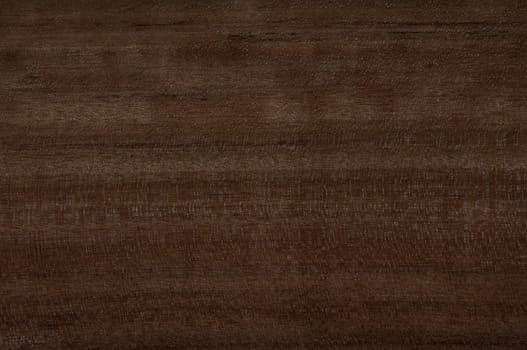a wood rustic exclusive texture