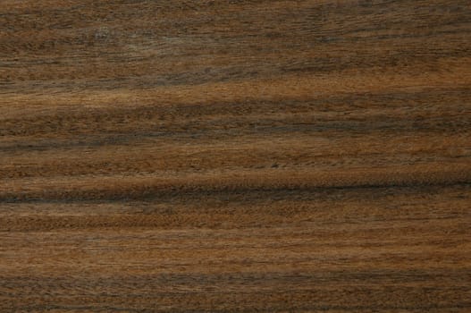 a wood rustic exclusive texture