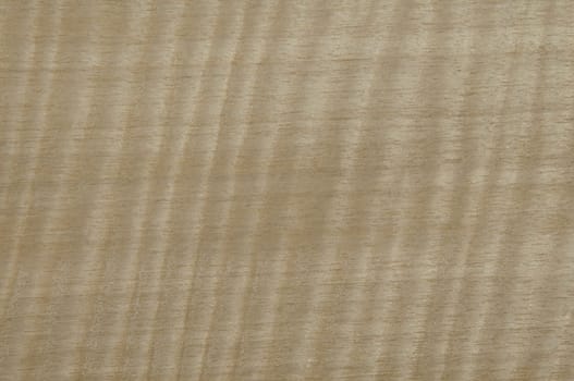a wood rustic exclusive texture