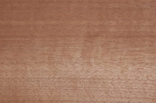a wood rustic exclusive texture