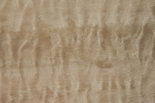 a wood rustic exclusive texture