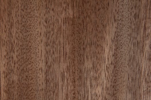 a wood rustic exclusive texture