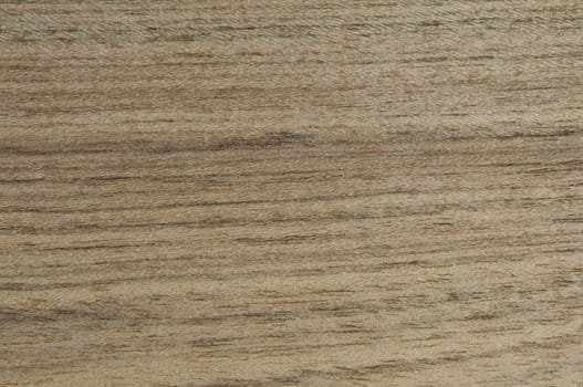 a wood rustic exclusive texture