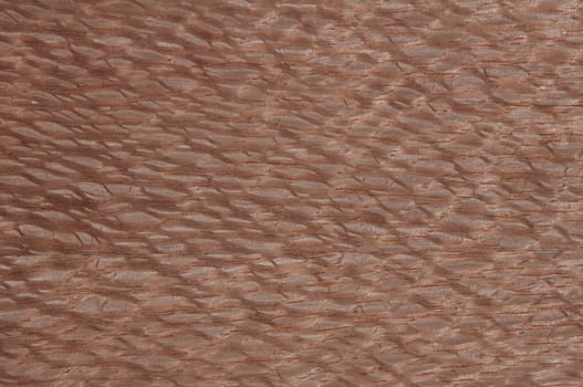 a wood rustic exclusive texture
